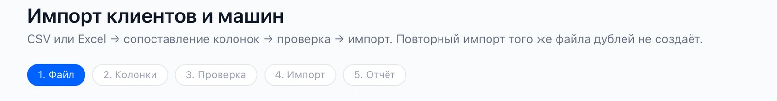 Импорт клиентов и машин: файл, колонки, проверка, импорт, отчёт